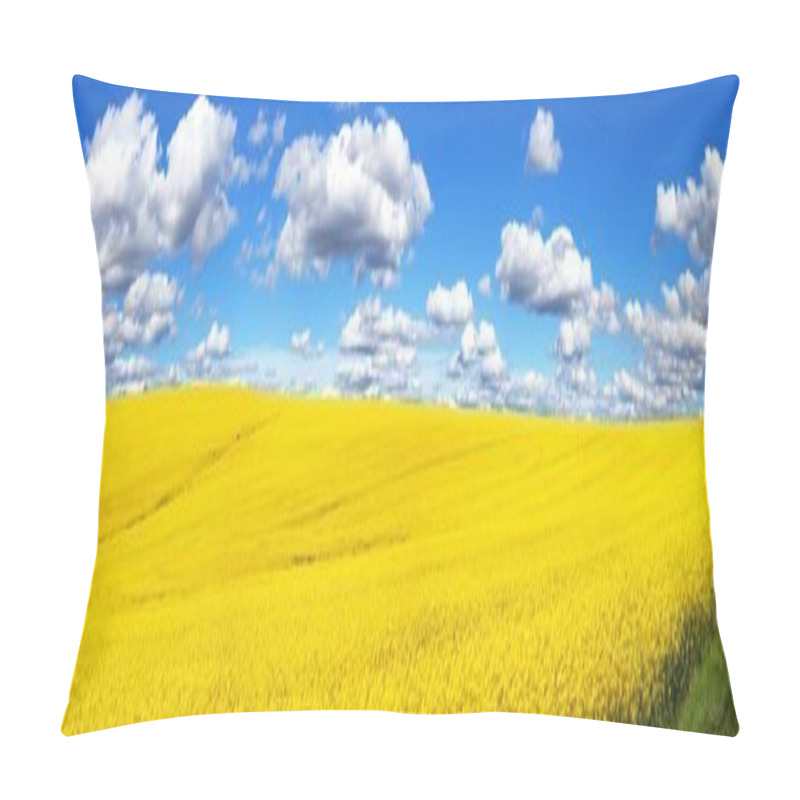 Personality  Field Of Rapeseed, Canola Or Colza Pillow Covers