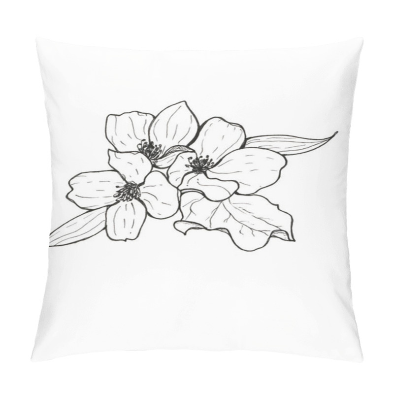 Personality  Jasmine Flowers And Buds With Leaves In A Group On A White Background Pillow Covers