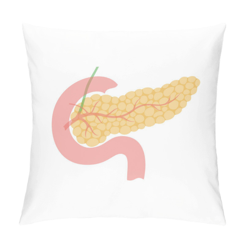 Personality  Vector Isolated Illustration Of Pancreas  Pillow Covers