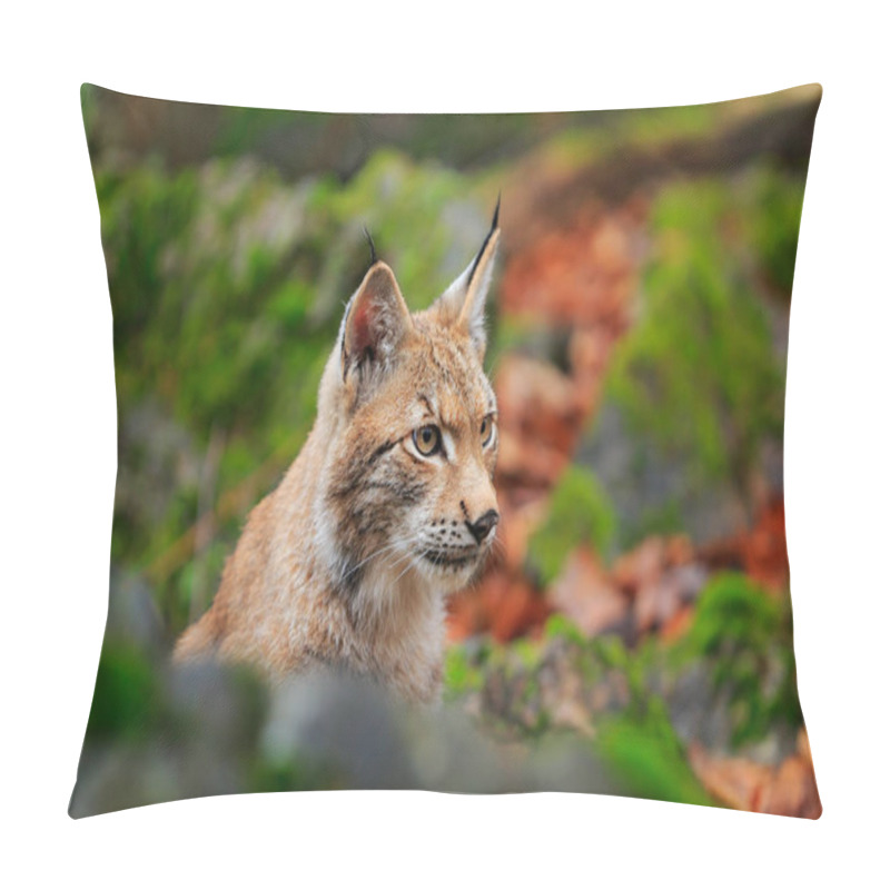 Personality  Lynx In The Forest. Sitting Eurasian Wild Cat On Green Mossy Stone, Green In Background. Wild Cat In Ther Nature Habitat, Czech, Europe. Pillow Covers