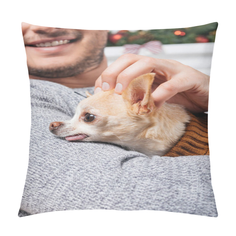 Personality  Cropped Shot Of Cute Chihuahua Dog On Hands Of Smiling Man Pillow Covers