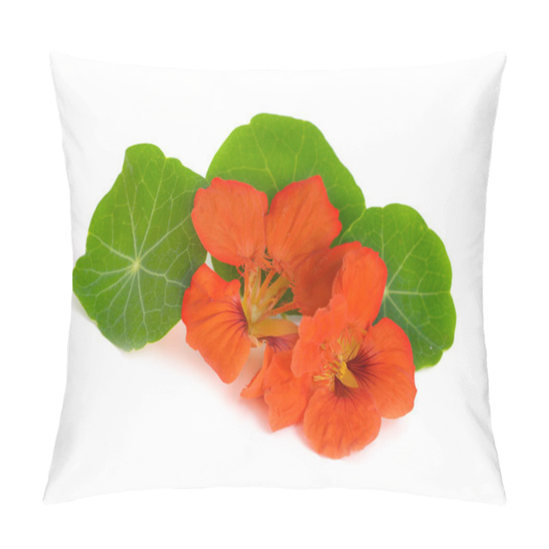 Personality  Nasturtium Flowers Isolated. Pillow Covers