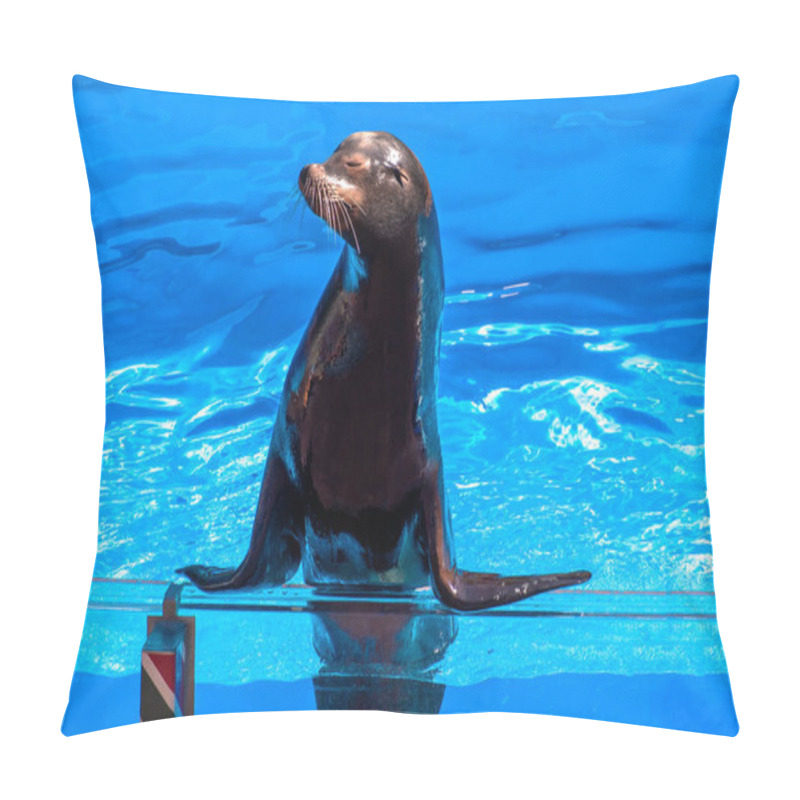 Personality  Orlando, Florida. December 07, 2019. Nice Sealion At Seaworld (127). Pillow Covers