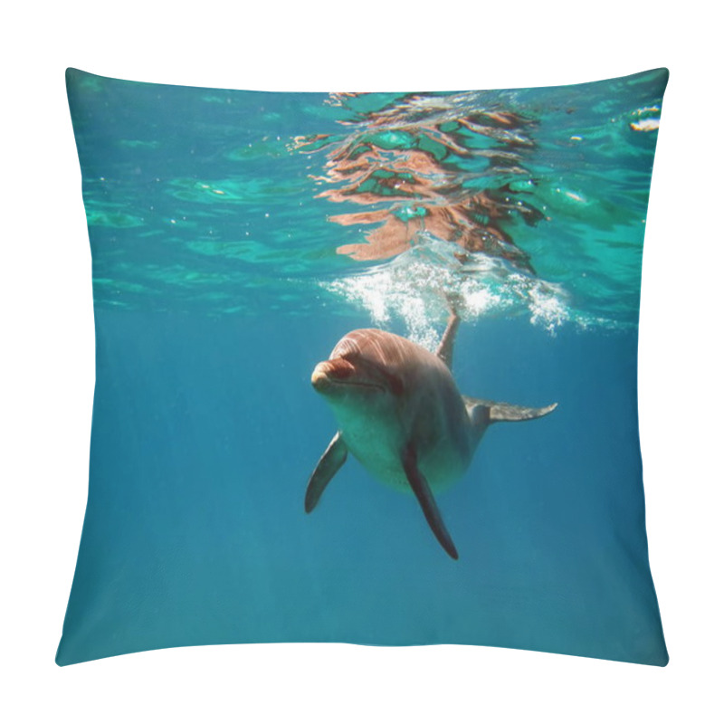 Personality  Dolphins Are Aquatic Mammals Of The Cetacean Infraorder, Belonging Either To The Dolphin Family. Pillow Covers