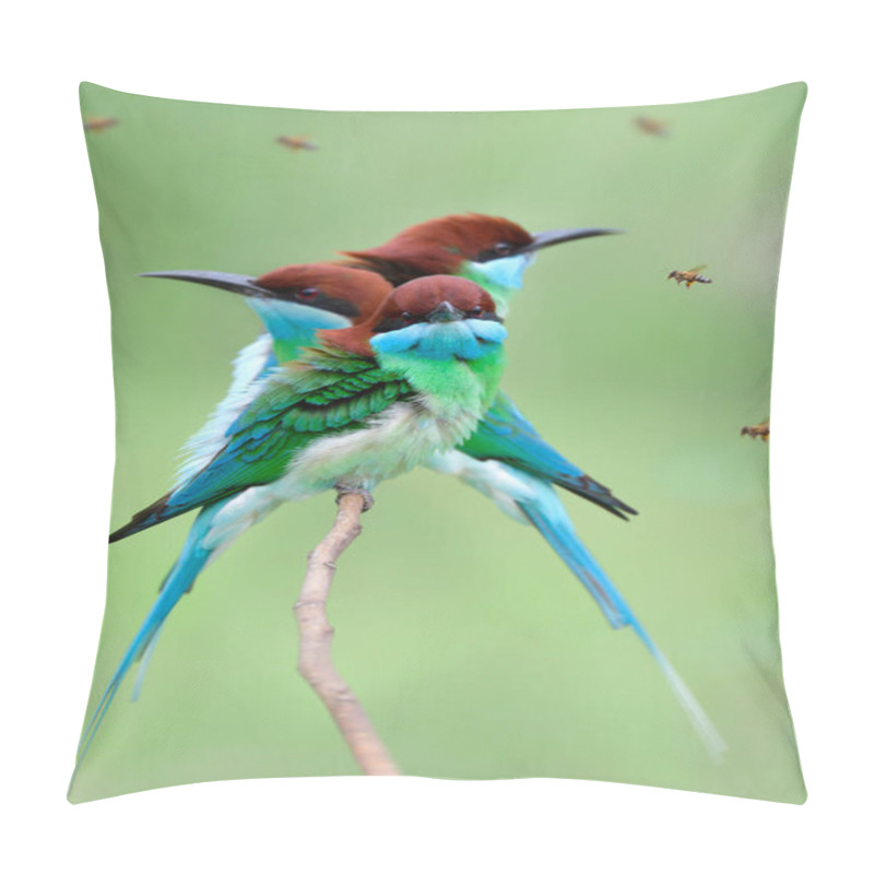 Personality  Blue-throated Bee-eater, Beautiful Green And Blue With Red Head Birds Aiming To Flying Bee As It Delicious Fresh Meals Pillow Covers