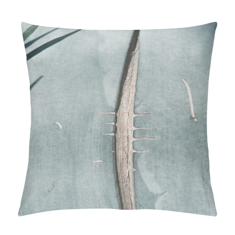 Personality  Close Up Texture Of Blue Aloe Plant Pillow Covers