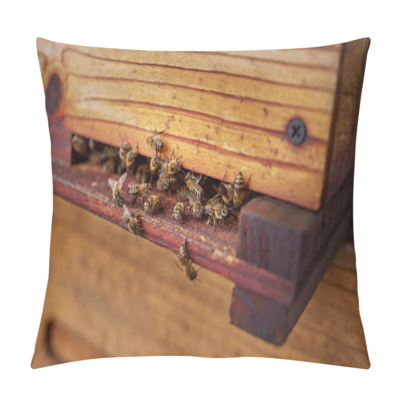 Personality  Agriculture, Hive And Honey With Bees Closeup On Box For Production Of Beeswax On Organic Farm. Environment, Nature And Process With Insects In Eco Friendly Habitat For Conservation Or Sustainability. Pillow Covers