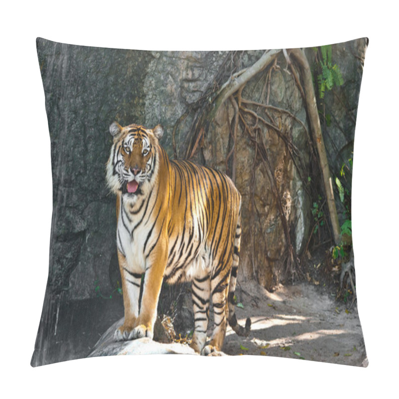 Personality  Female Wild Tiger From Thailand Pillow Covers