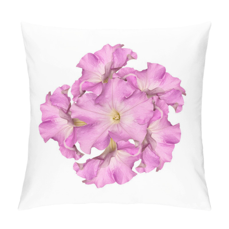 Personality  The Beautiful Abstract Bouquet Pink Flower On A White Background Pillow Covers