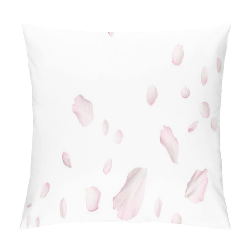 Personality  Beautiful Sakura Flower Petals Flying On White Background. Banner Design Pillow Covers