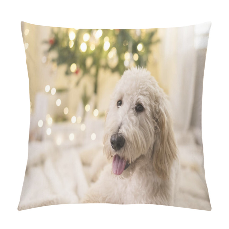 Personality  Dog Laying Down In Front Of Christmas Tree Pillow Covers