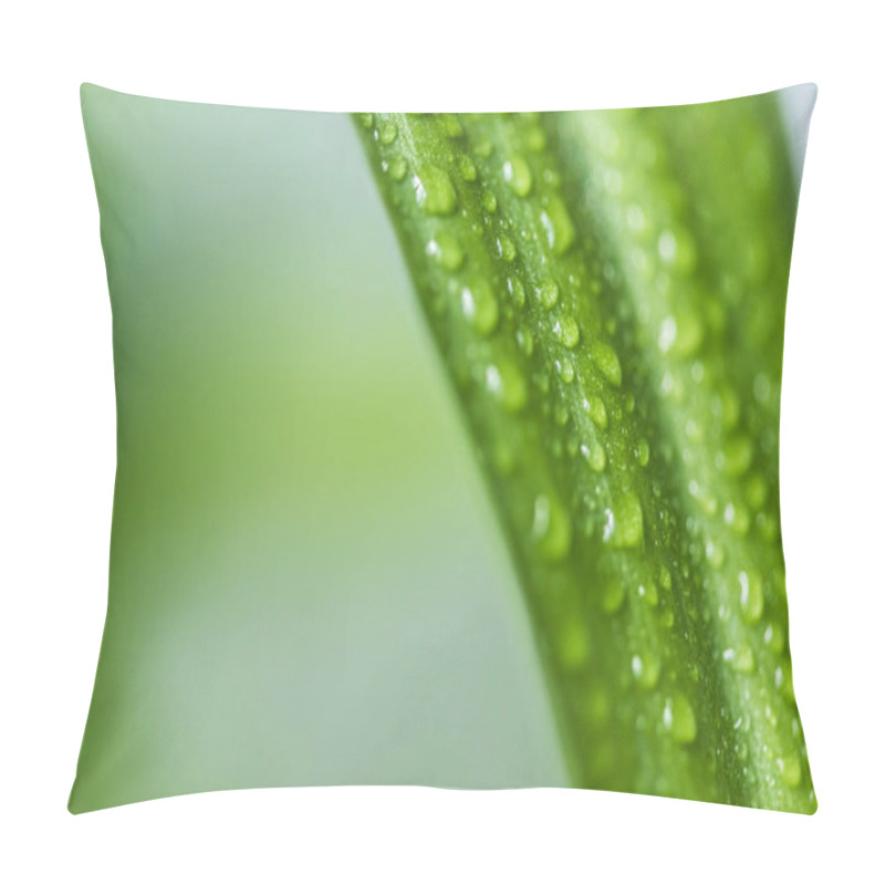 Personality  Close Up View Of Green Leaf With Water Drops On Blurred Background  Pillow Covers