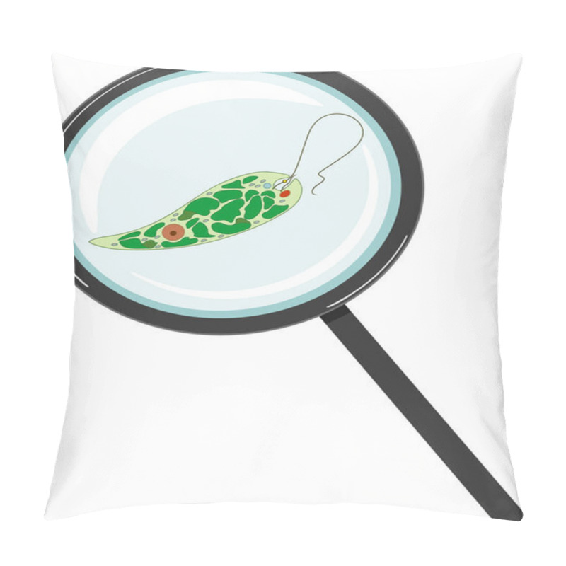 Personality   Euglena Viridis Under Magnifying Glass Isolated On White Background Pillow Covers