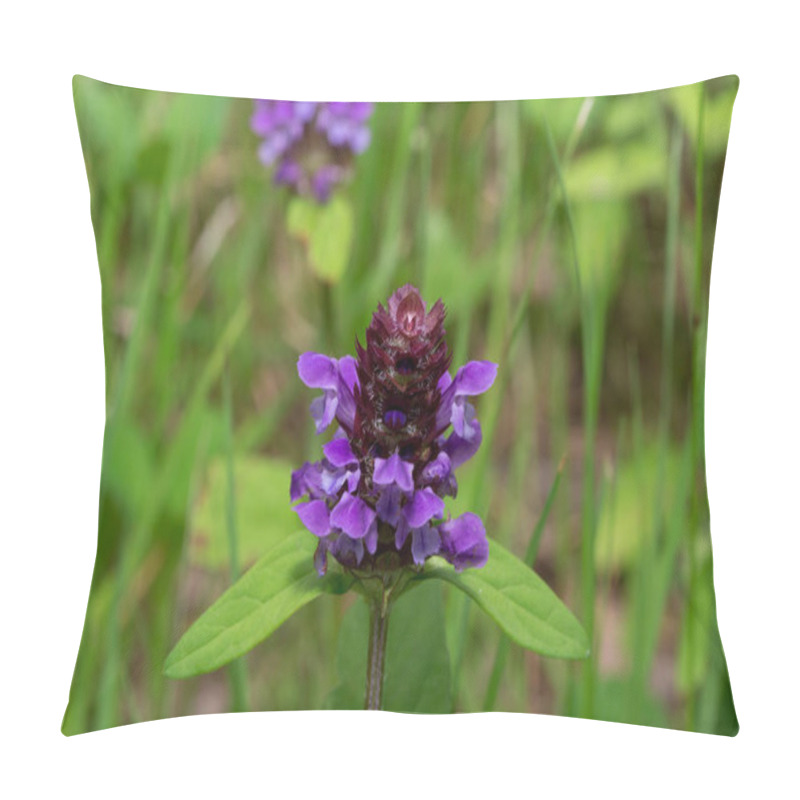 Personality  Beautiful Prunella Vulgaris Are Growing On A Green Meadow. Pillow Covers