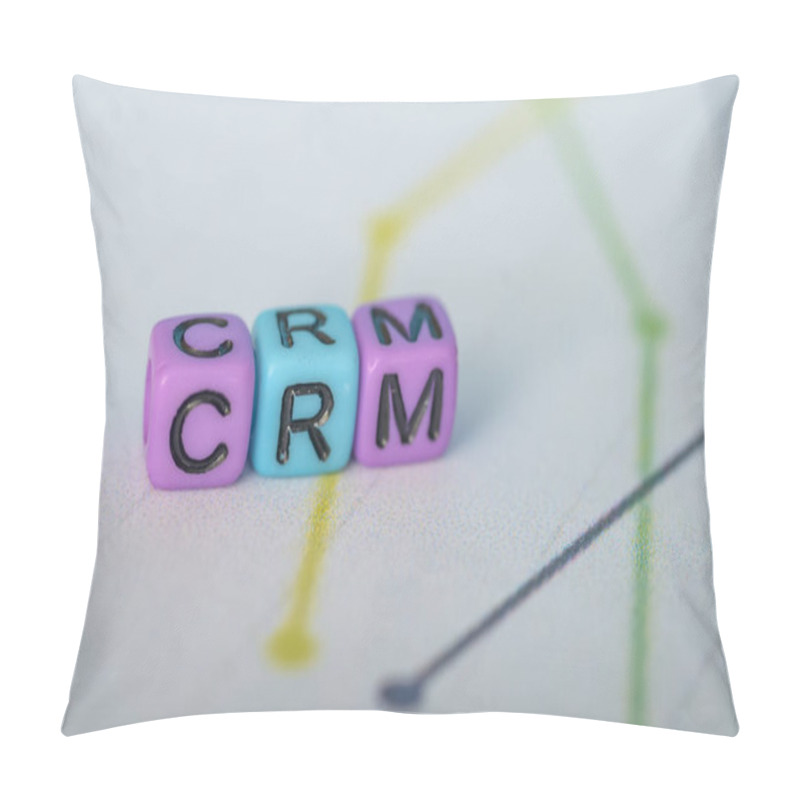 Personality  Understanding CRM (Customer Relationship Management) Systems: Key Features And Benefits For Businesses Pillow Covers