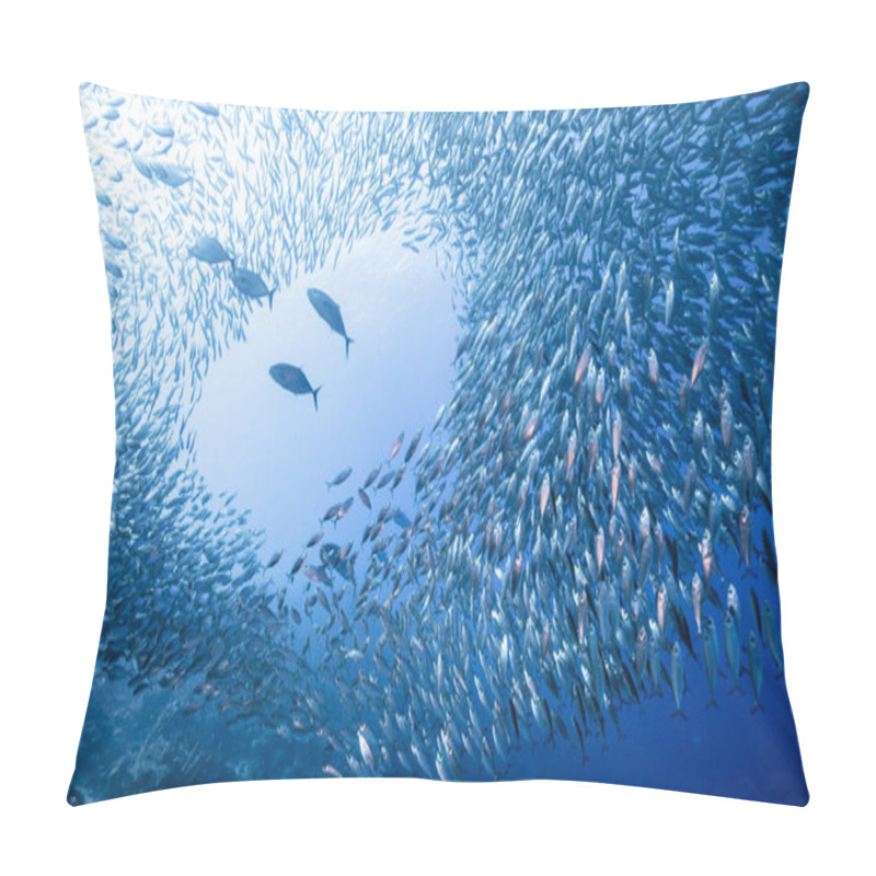 Personality  Schooling Fish, Big Eye Scad Fish In The Shallows Of The Caribbean Sea Pillow Covers