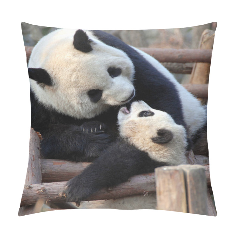 Personality  Panda Mother And Cub At Chengdu Panda Reserve (Chengdu Research Base Of Giant Panda Breeding) In Sichuan, China. Two Pandas Playing With Each Other. Panda With Cub, Chengdu Reserve, China Pillow Covers