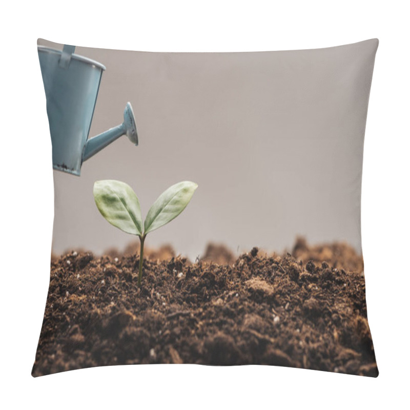 Personality  Toy Watering Can Near Green Plant Isolated On Grey Pillow Covers