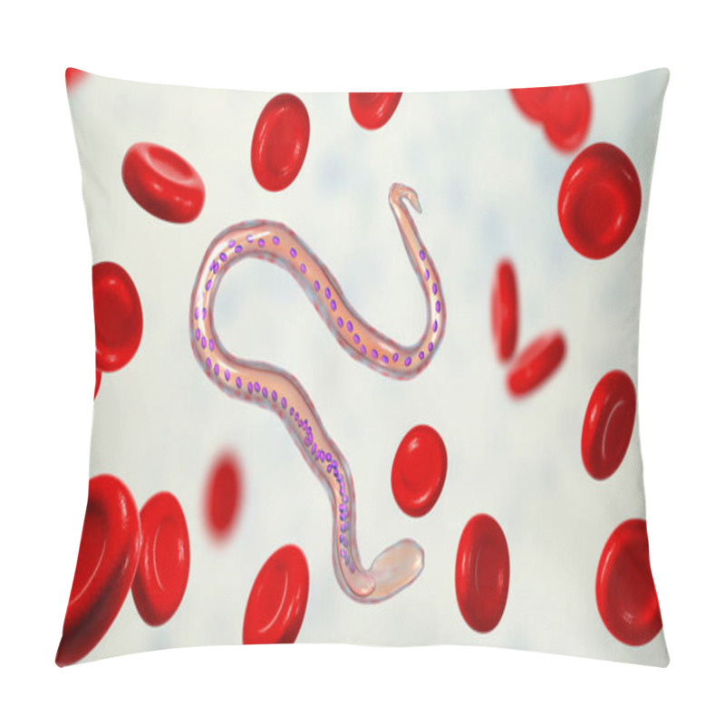 Personality  Wuchereria Bancrofti, A Roundworm Nematode, One Of The Causative Agents Of Lymphatic Filariasis, 3D Illustration Showing Presence Of Sheath Around The Worm And Tail Nuclei Non-extending To Tip Pillow Covers