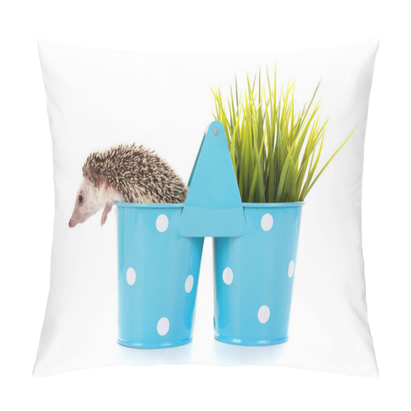 Personality  Hedgehog Inside A Vase Pillow Covers