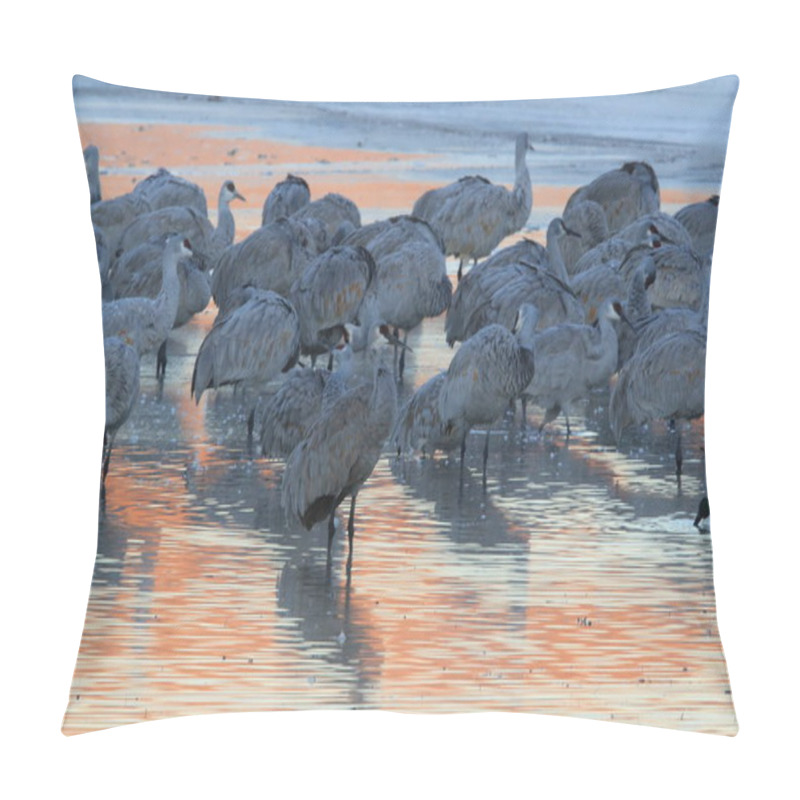 Personality  Sandhill Crane Bosque Del Apache Wildlife Reserve,New Mexico, US Pillow Covers