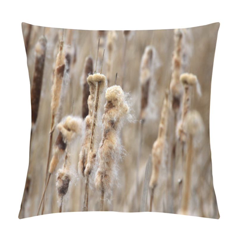 Personality  Reed Plants Typhaceae Pillow Covers