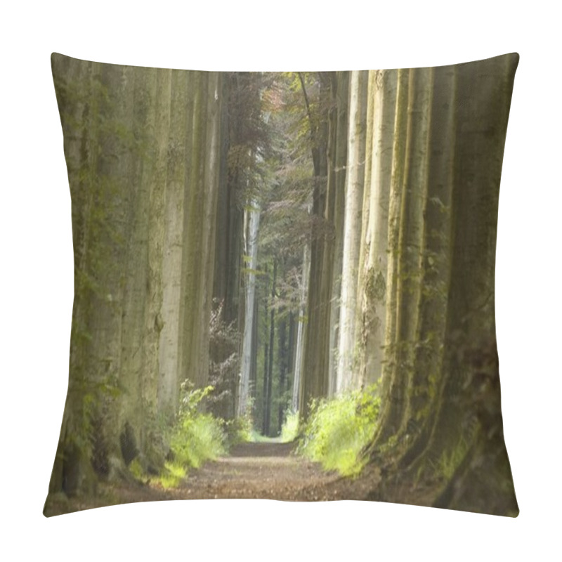 Personality  Nature Pathway Pillow Covers