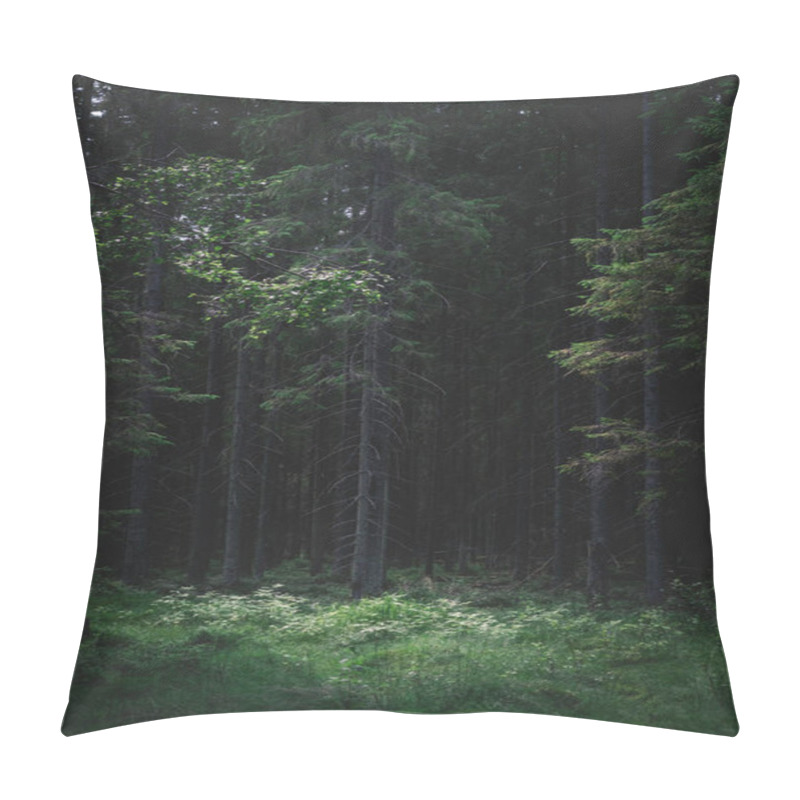 Personality  Dark Forest In The Evening On A Summer Day With A Glossy Glade Pillow Covers