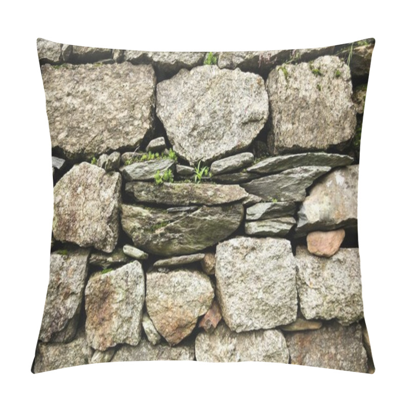 Personality  Close-up View Of Stone Wall And Green Plants Growing Through Stones In Indian Himalayas, Dharamsala, Baksu  Pillow Covers