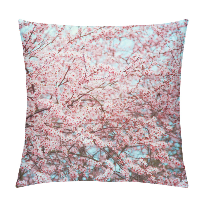 Personality  Springtime Blossom On Cherry Trees Pillow Covers