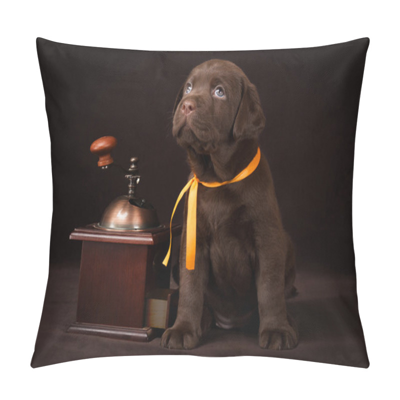 Personality  Chocolate Labrador Puppy Sitting On Brown Background Near Wooden Coffee Grinder And Looking Up Pillow Covers