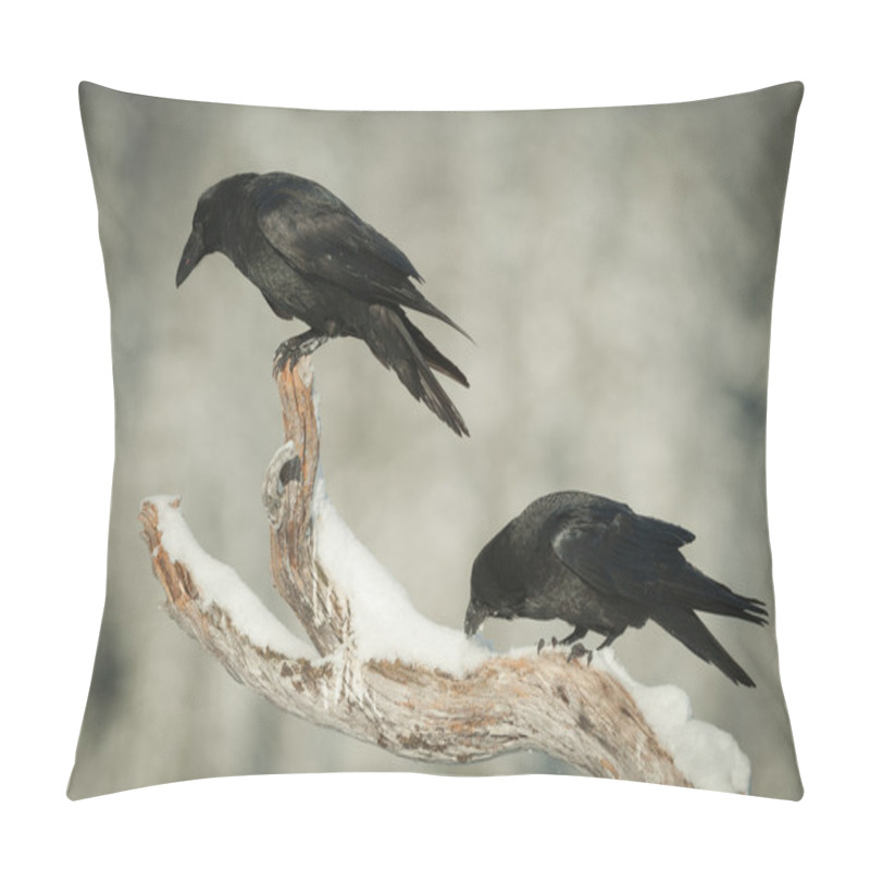 Personality  Common Ravens Pillow Covers