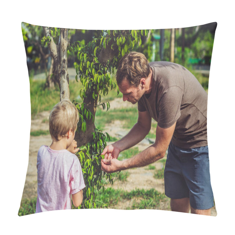 Personality  Father Son Walk In Summer Park, Daddy Look Show Touch Tree Leaves Bark, Explain Science In Playing. Happy Home Natural Child Education, Fathers Day, Dad Responsibilities, Influence On Boy Worldview Pillow Covers