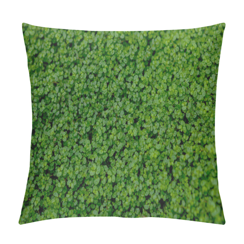 Personality  Full Frame Shot Of Ground Ivy, Textured Background Pillow Covers