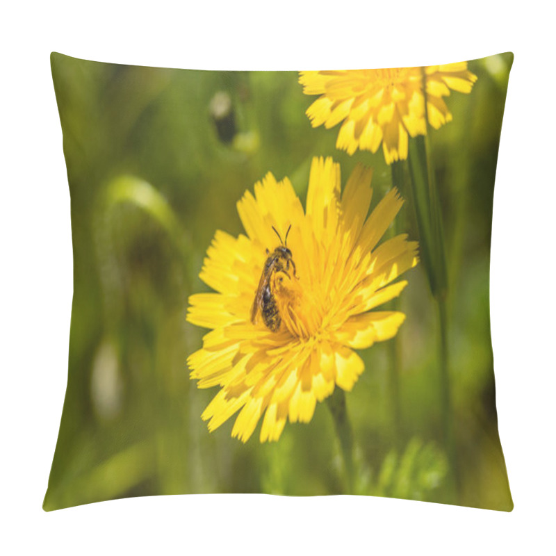 Personality  Insect Perched On A Flower Pillow Covers