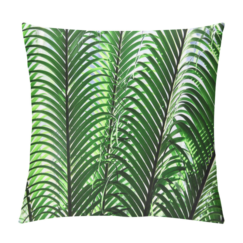 Personality  Green Tropical Leaves. Close-up. Background. Palm. Pillow Covers