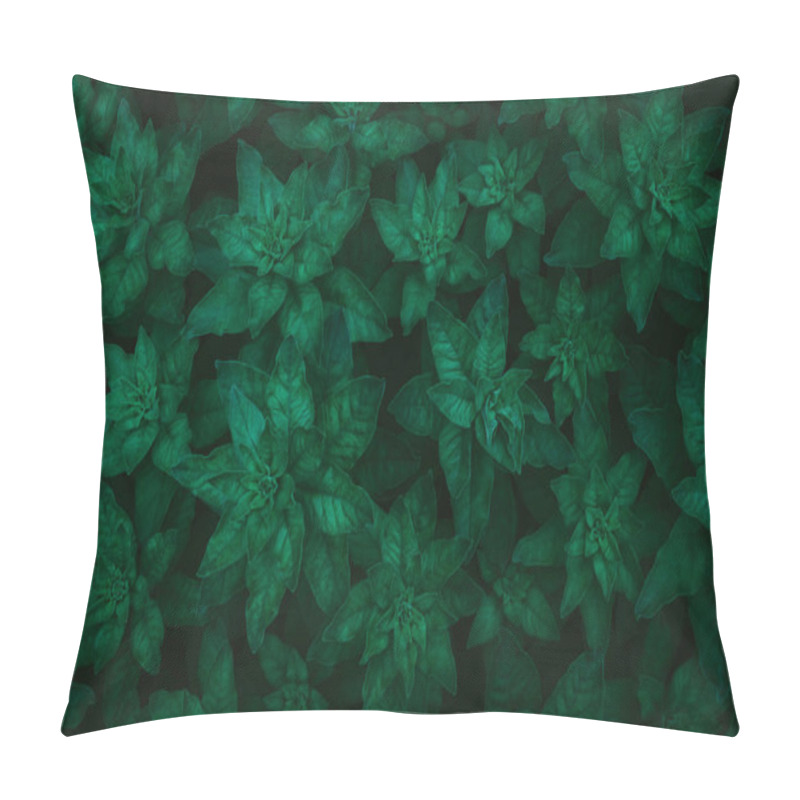 Personality  Green Leaf Texture. Lush Bush, Top View. Abstract Nature Background For Design. Close Up Pillow Covers