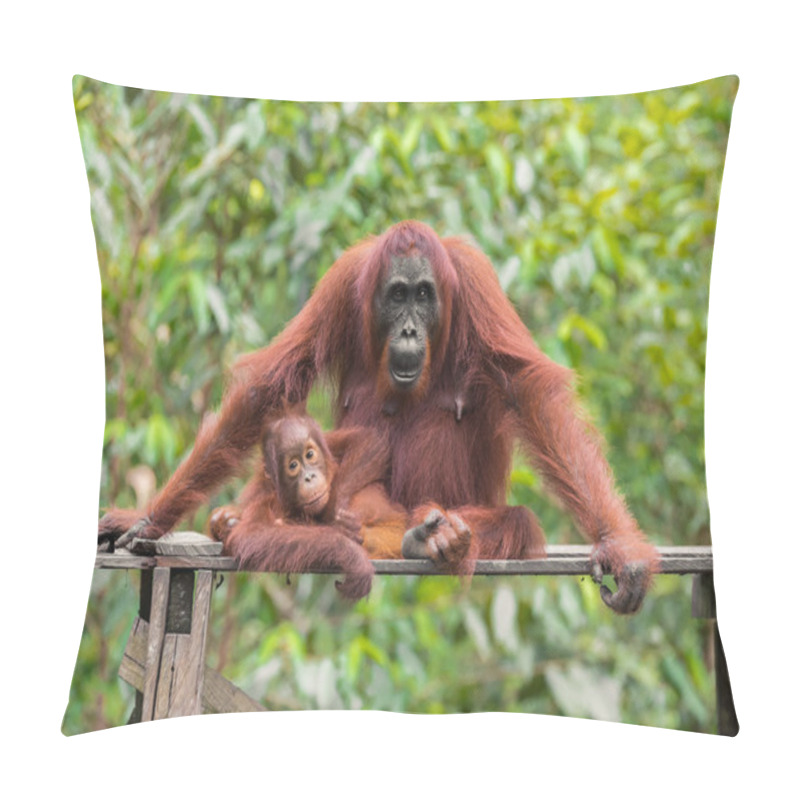 Personality  Baby Orangutan Looking At The Camera, Lying Next To Her Mother On A Wooden Platform (Tanjung Puting National Park, Borneo / Kalimantan, Indonesia) Pillow Covers