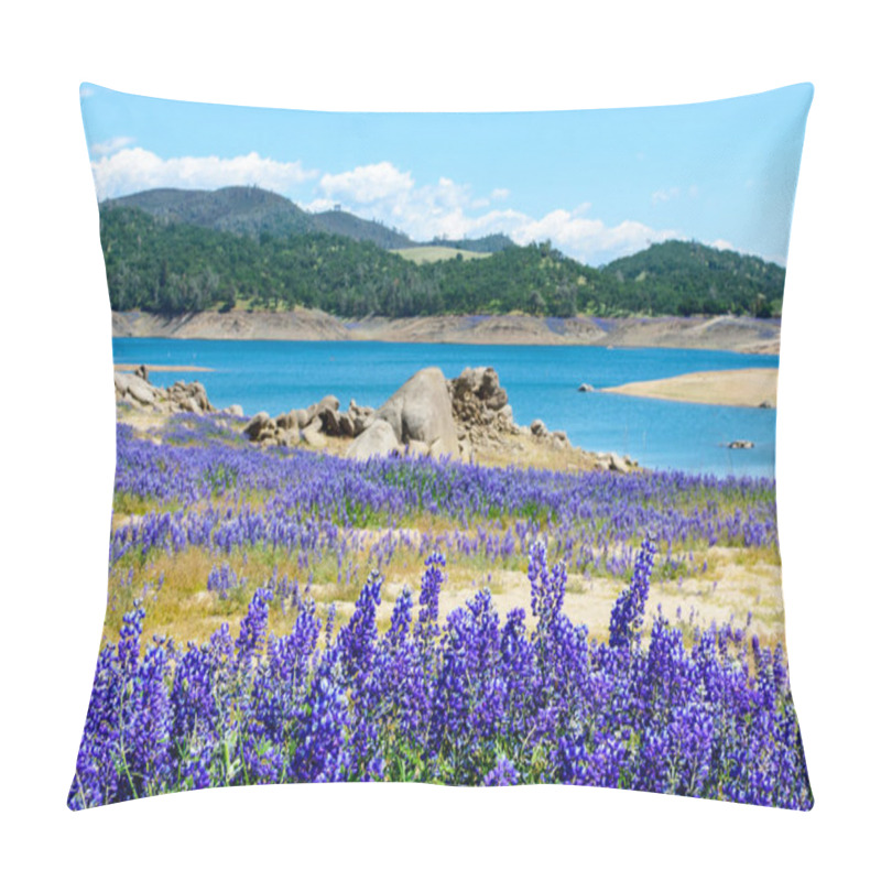 Personality  Wildflower Lupines Super Bloom Purple Fields On The Scenic Shore Of Drained Folsom Lake, California. Focus On The Lower Row Of Lupines. Blurred Background. Pillow Covers