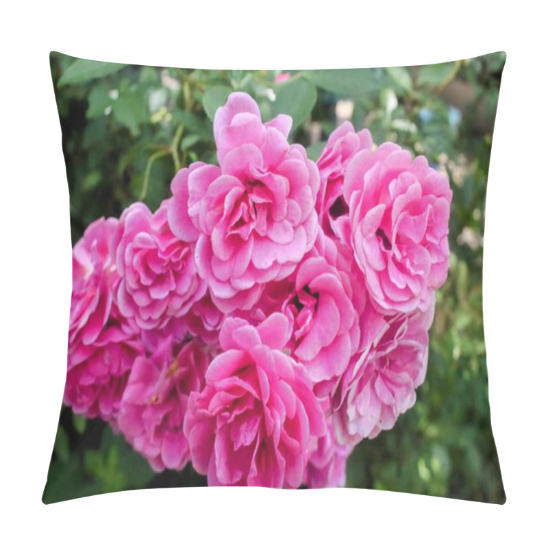 Personality  Close-up Of A Vibrant Cluster Of Pink Roses In Bloom, Displaying Lush Petals And Green Foliage, Against A Natural Background That Embodies The Essence Of Growth And Renewal In Nature. Pillow Covers