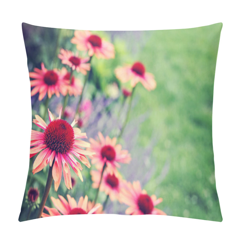 Personality  Echinacea Flowers Pillow Covers