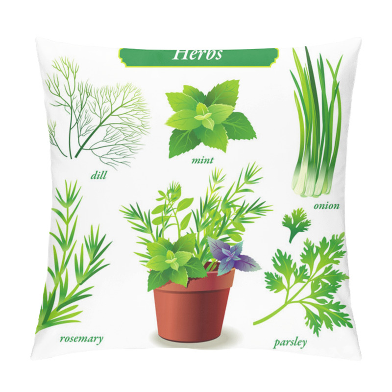 Personality  Herbs Pillow Covers