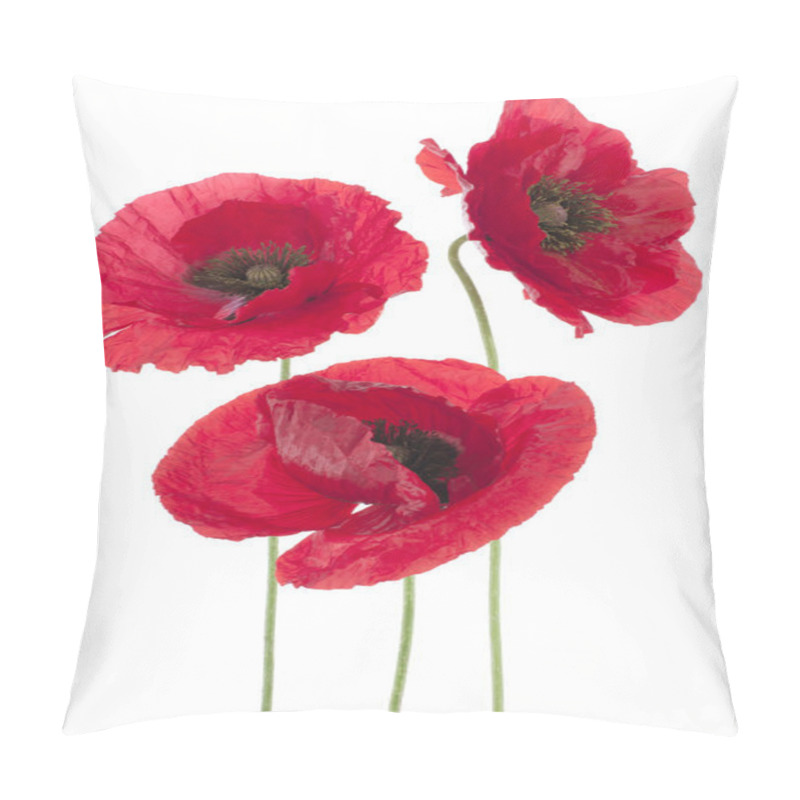 Personality  Poppy Pillow Covers