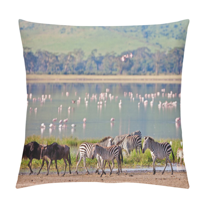 Personality  Zebras And A Wildebeest Walking Beside The Lake In The Ngorongoro Crater, Tanzania, Flamingos In The Background Pillow Covers