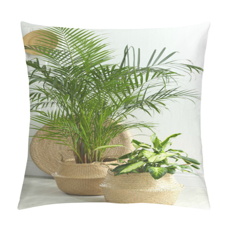 Personality  Houseplants In Wicker Pots On Floor Indoors. Interior Design Pillow Covers