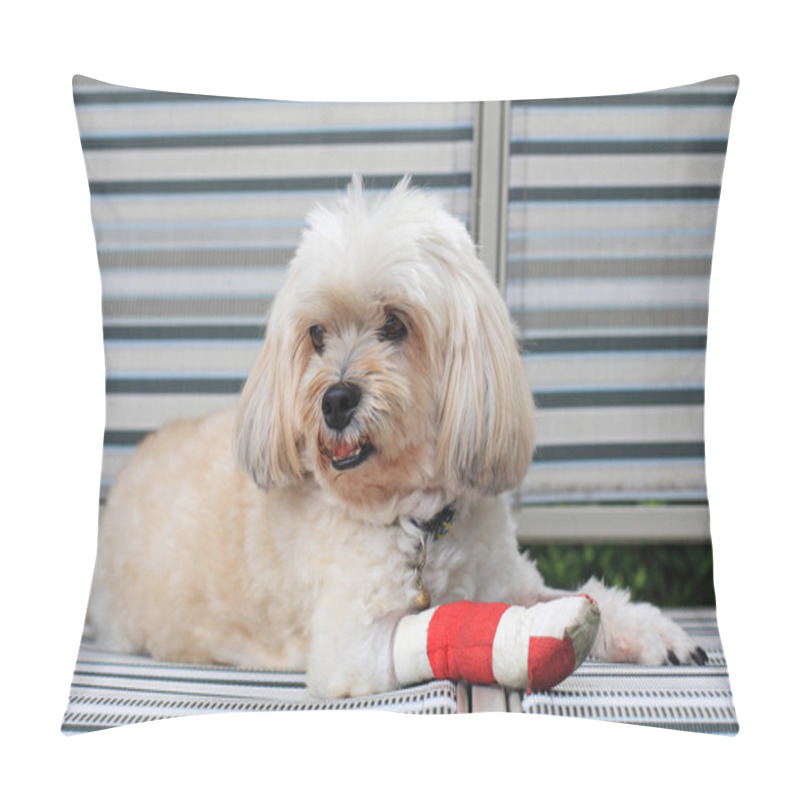 Personality  Red Bandage On Front Injured Leg Of Shih Tzu Pillow Covers