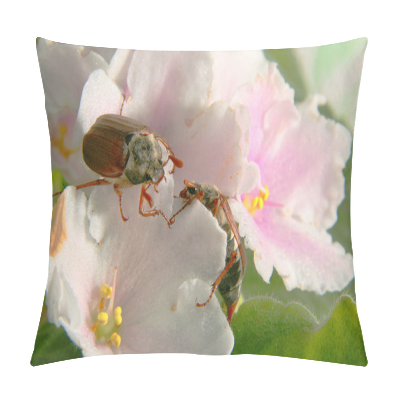 Personality  May Beetles Pillow Covers