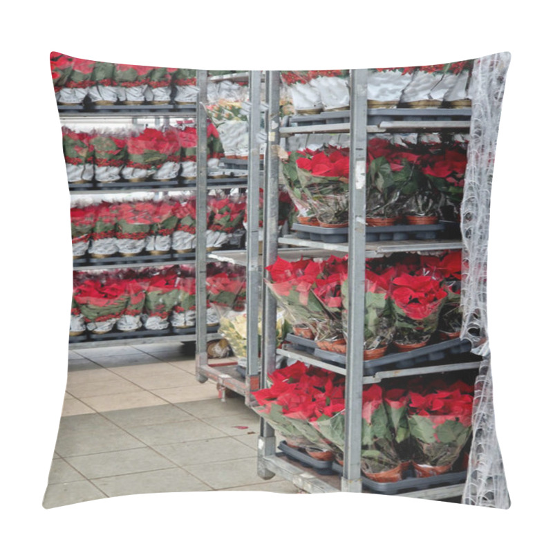 Personality  This Cc Wheeled Cart Is Ideal For Gardeners Who Need To Move A Lot Of Plants. The Customer Transports By Delivery From The Warehouse Wrapped In Plastic Foil Pillow Covers