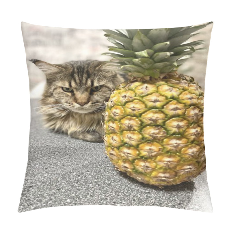 Personality  How To Choose A Fresh Pineapple, The Big Maine Coon Cat Knows. Table, Kitchen, Vegetables, Fruits, Food, Eat, Delicious, Health, Love, Life, Cats, Pet, Animals, Mainecoon  Pillow Covers