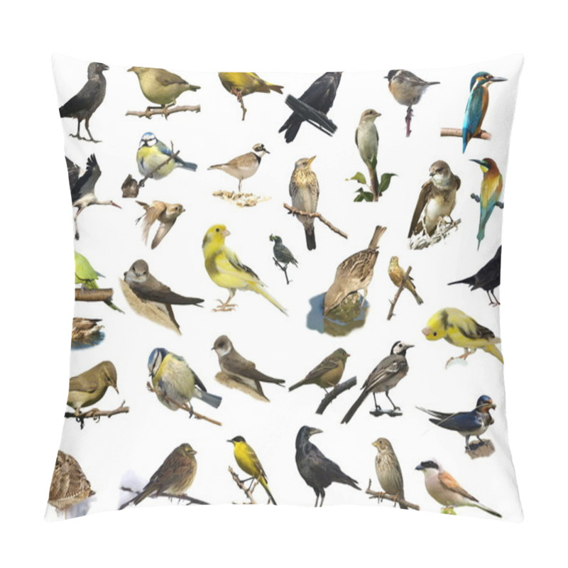 Personality  Set Birds Isolated On White (1) Pillow Covers